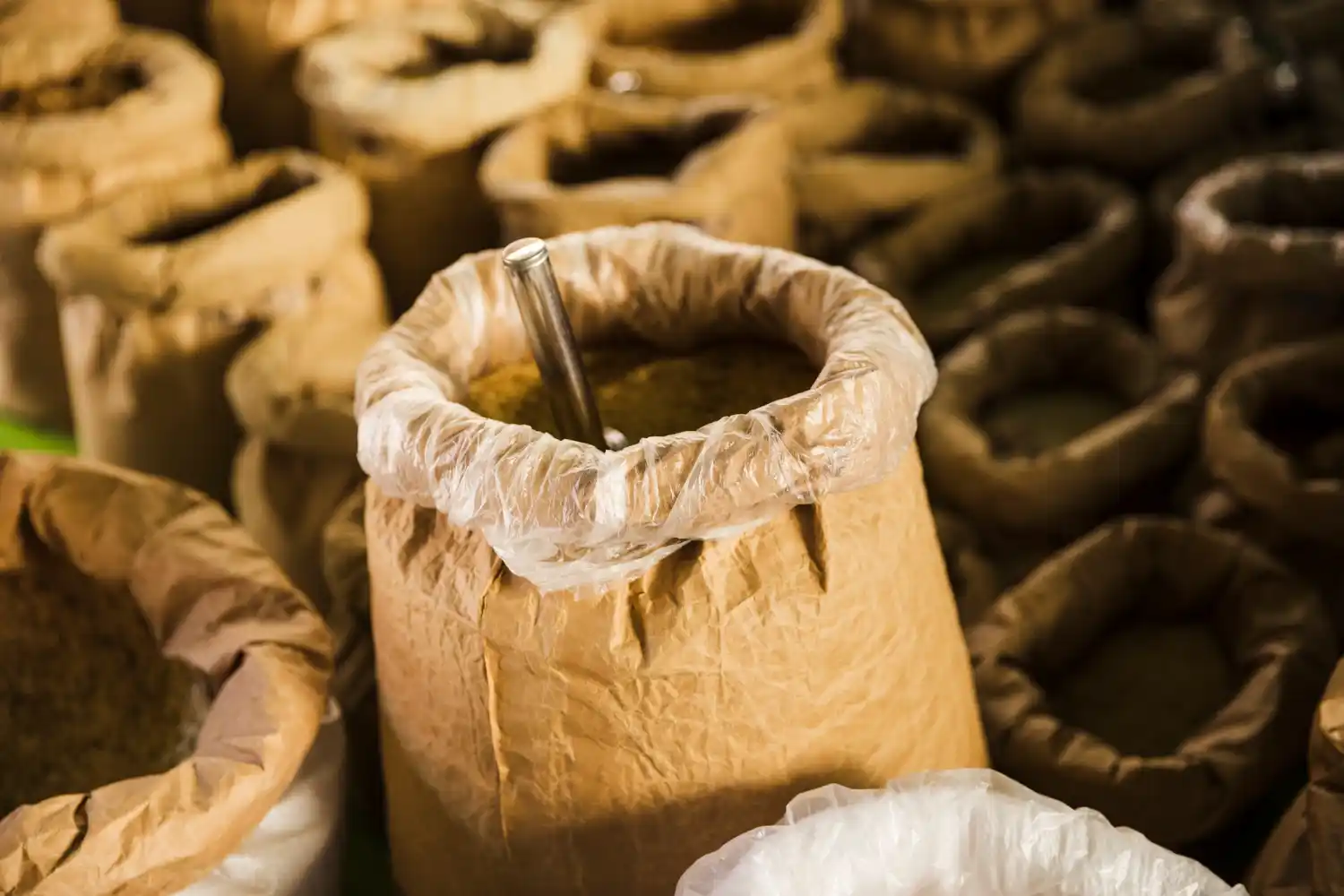 Where tea value building begins